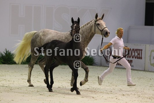 CA D ORO_MILANO_2010_SS3_3984.jpg